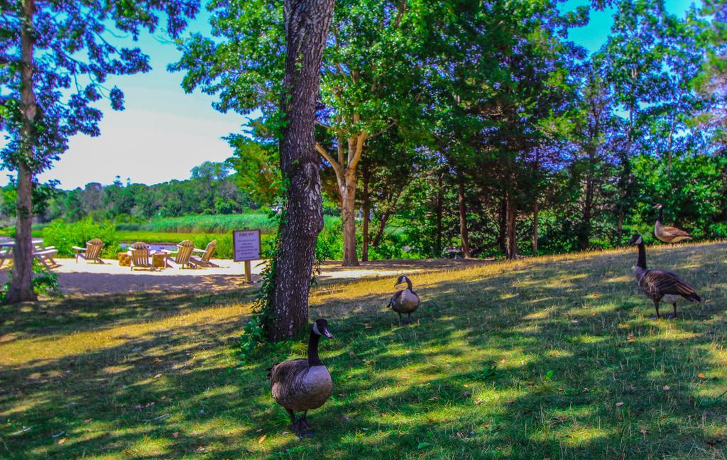 The Cove At Yarmouth Otel West Yarmouth Dış mekan fotoğraf